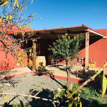Apartamento Con Barbacoa