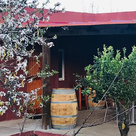 Apartamento Con Barbacoa *